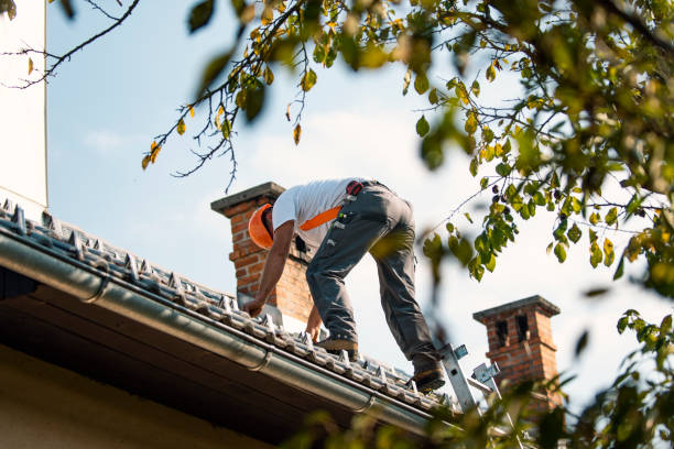 Best Roof Waterproofing Services  in Seabrook Farms, NJ